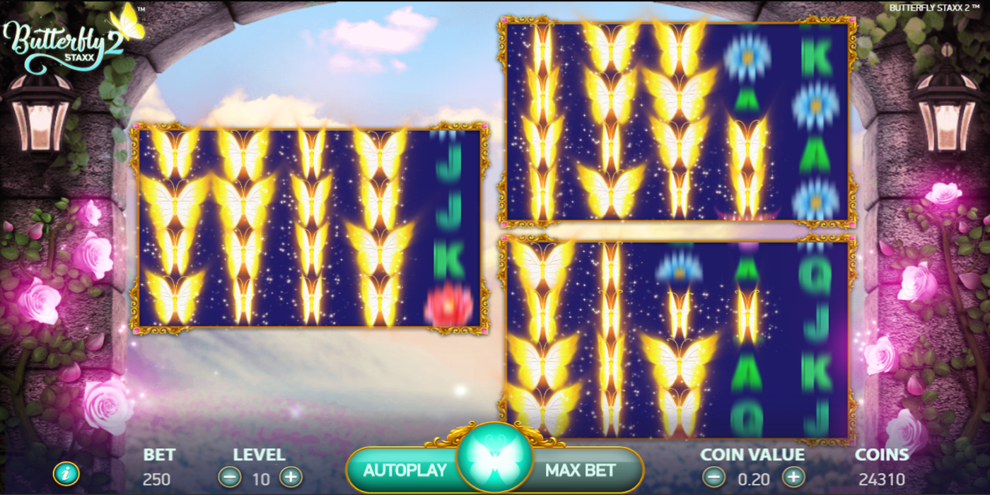 Imagen demo